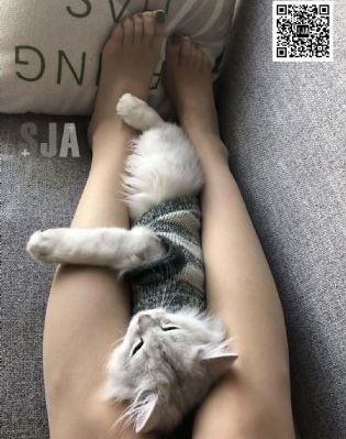 jlzz免费看_午夜激情福利视频